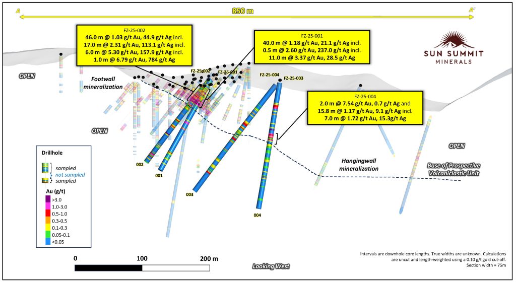 20260122 Figure3 Smn Jd Finn Crosssection